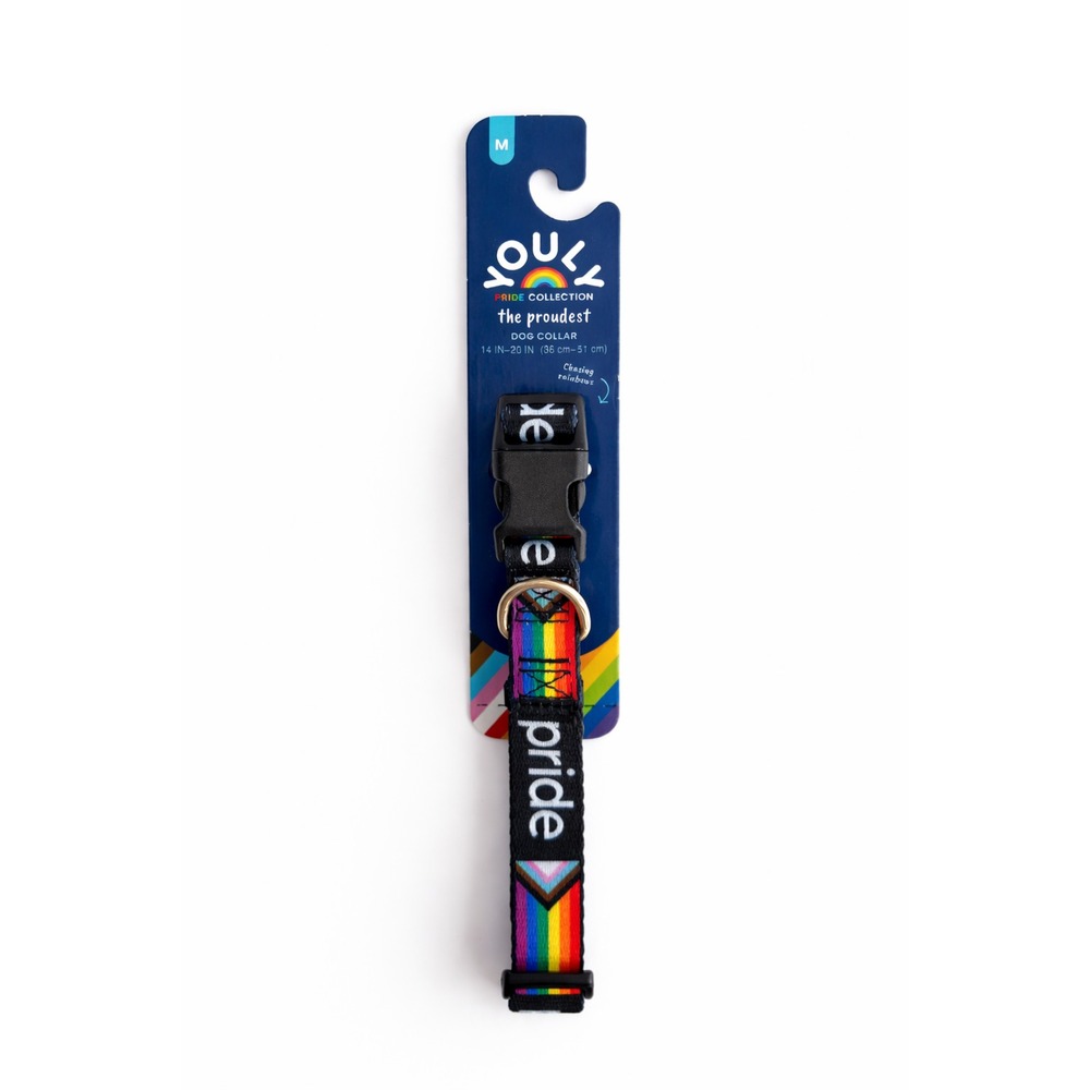 Adjustable Pride Dog Collar M 14-20in Youly Rainbow Pet Accessory